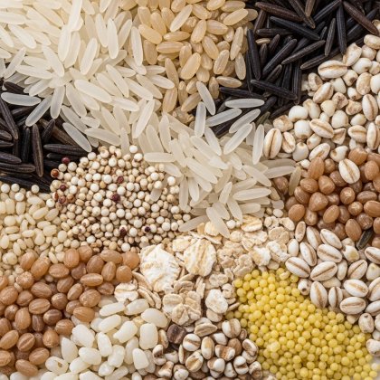 Rice & Grains