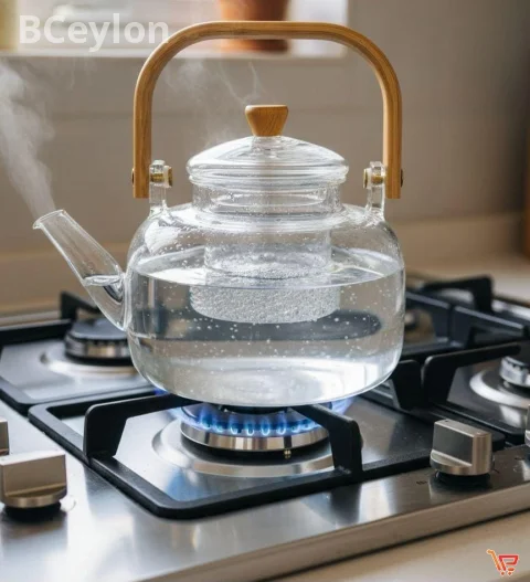 Glass tea pot