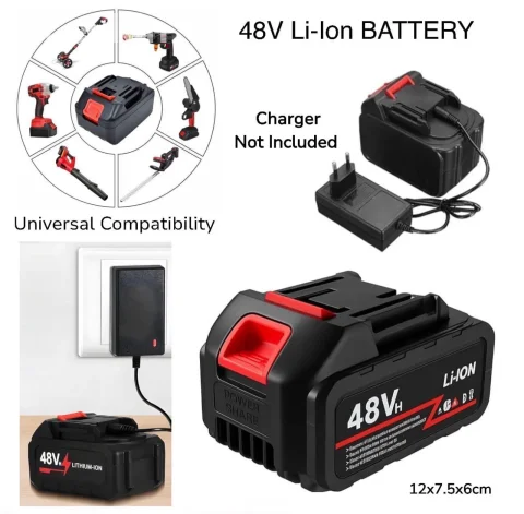 *LITHIUM-ION 48V RECHARGEABLE BATTERY